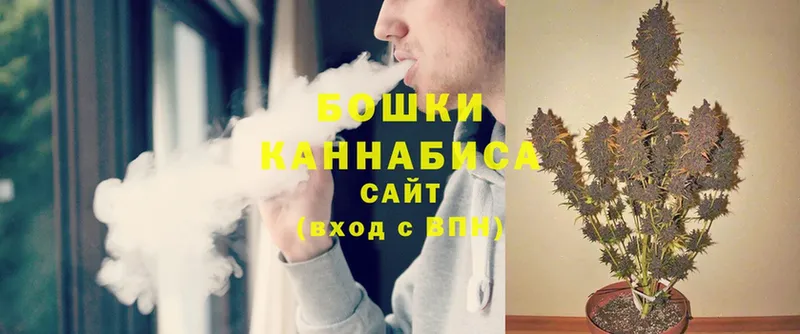 Конопля White Widow  Губкинский 